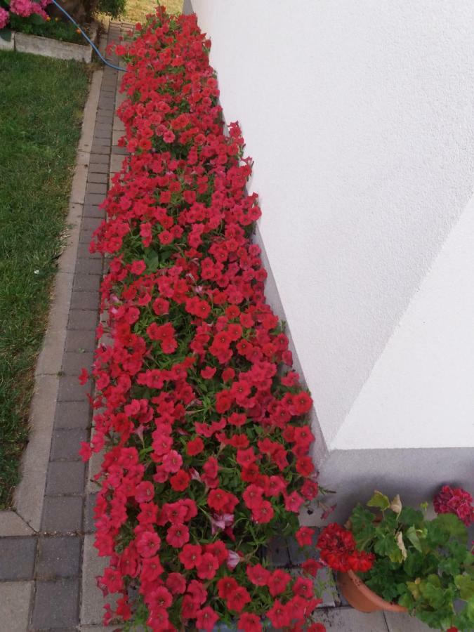Pansion Ljubica Hotel Međugorje Exterior foto